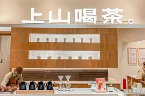 上山喝茶加盟加盟费用