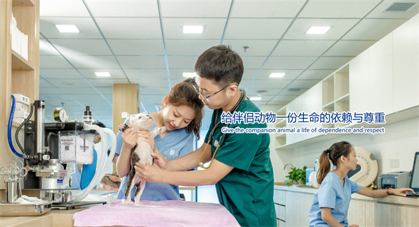 宠颐生动物医院加盟加盟费用