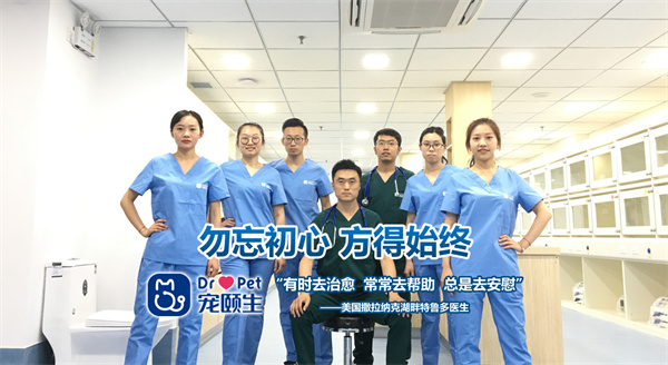 宠颐生动物医院加盟加盟费用