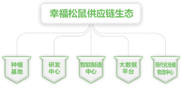 幸福松鼠加盟加盟费用