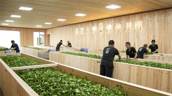 岩霸茶业加盟加盟费用