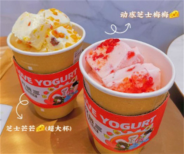 红桃三手工酸奶加盟加盟费用
