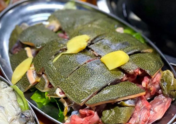 鼎记甲鱼鸡子牛鞭煲加盟加盟费用