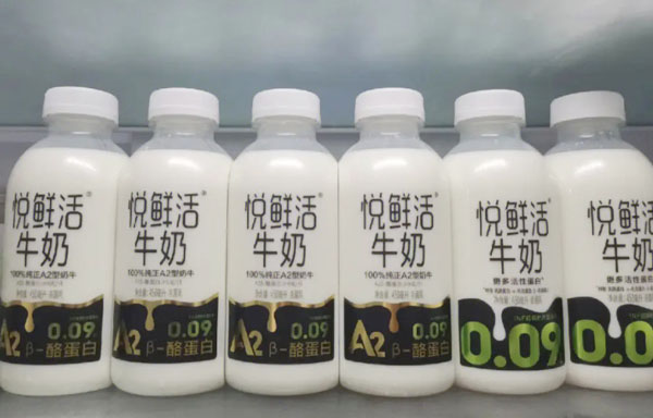 悦鲜活牛奶加盟加盟费用