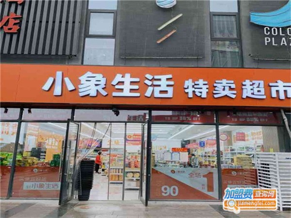 小象生活折扣超市加盟加盟费用