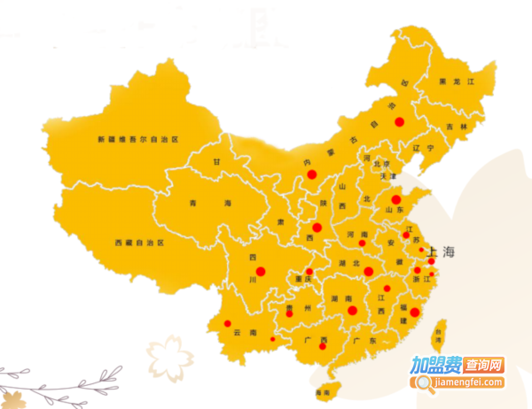 艾樱精奢美肌加盟加盟费用
