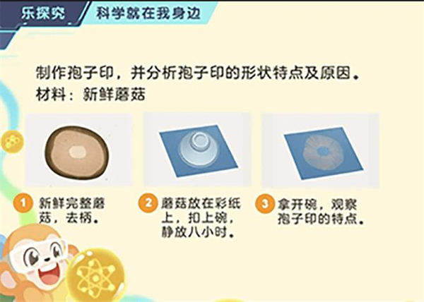学而思加盟加盟费用