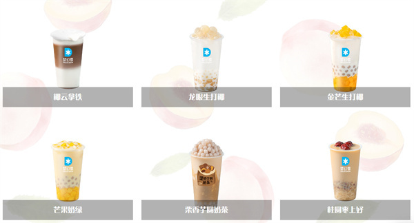 梦幻雪加盟费
