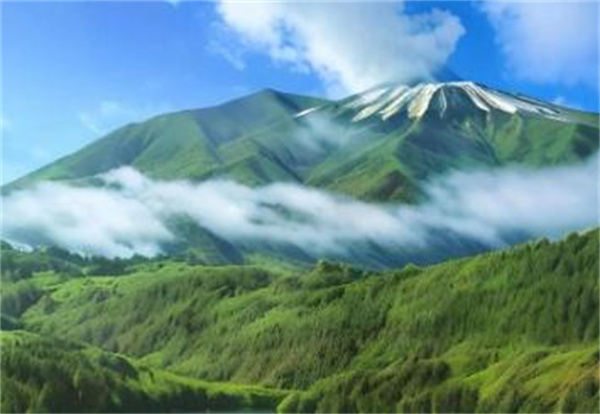 轻轻旅加盟加盟费用