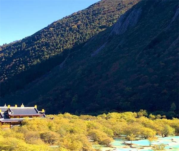 轻轻旅加盟加盟费用