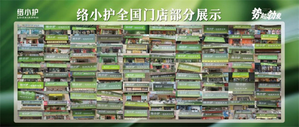 络小护经络养生馆加盟加盟费用
