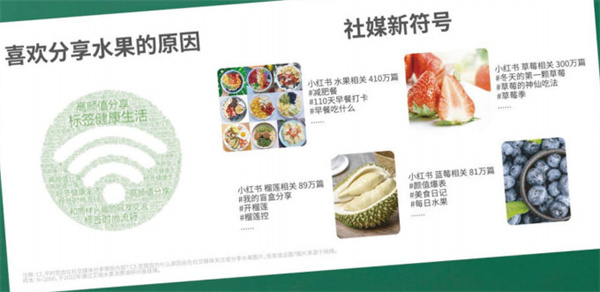 纤果纪加盟加盟费用