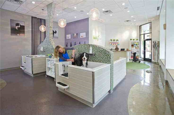 宠物美容店加盟加盟费用