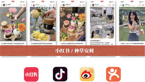 缇里咖啡加盟费