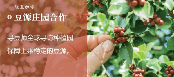 缇里咖啡加盟费