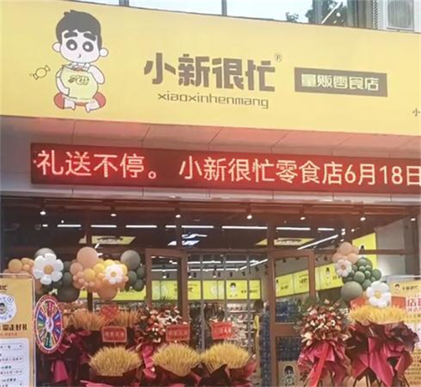 小新很忙加盟费