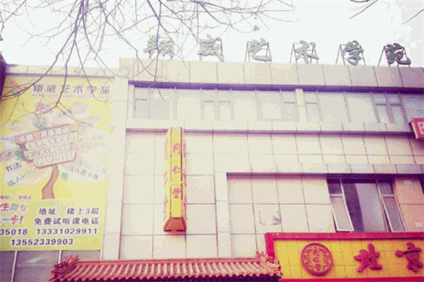 翔威艺术学苑加盟费