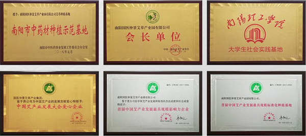 南阳国医仲景艾草加盟费