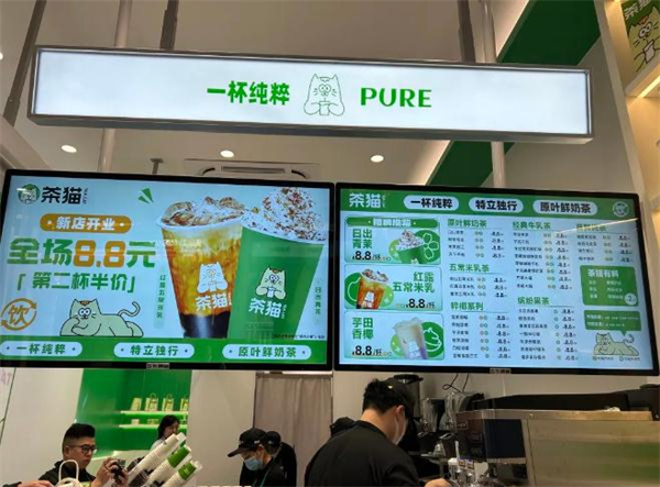 茶猫加盟费