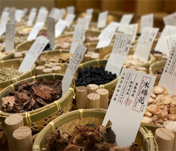 谷小推中式推拿加盟加盟费用
