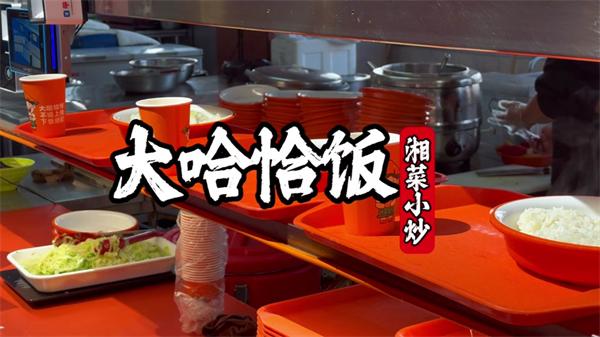 大哈恰饭湘菜小炒加盟加盟费用