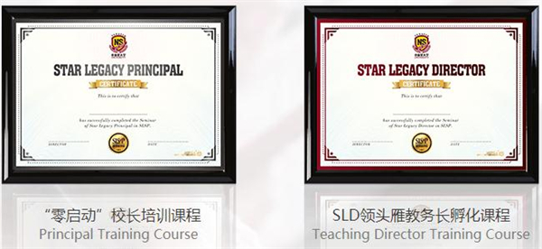 小新星国际教育加盟加盟费用