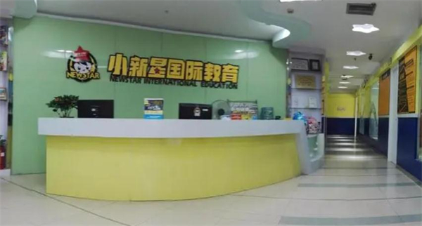 小新星国际教育加盟加盟费用