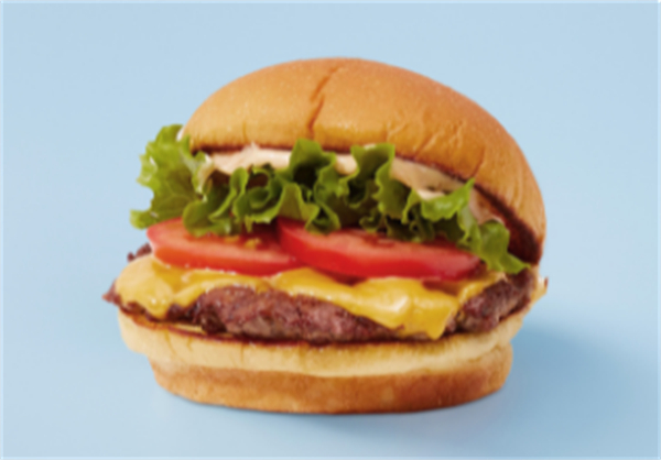 shake shack加盟费