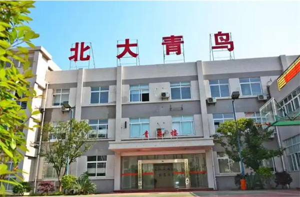 北大青鸟加盟费