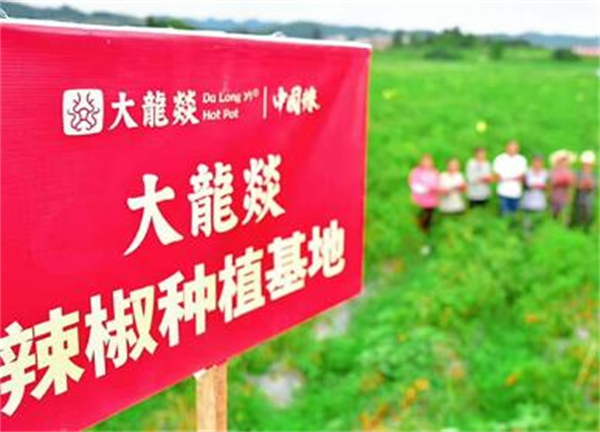 大龙焱火锅加盟费