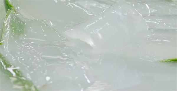 瑷露德玛加盟费