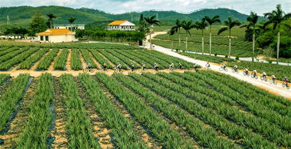 瑷露德玛加盟费