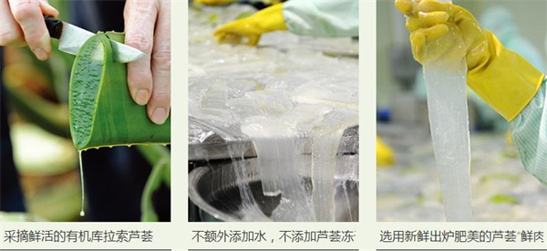 瑷露德玛加盟费