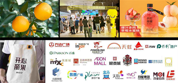 开心丽果加盟费