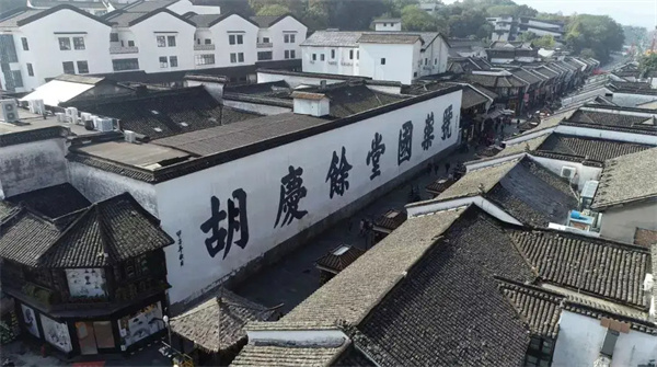 胡庆余堂加盟费