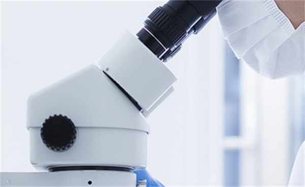 胡庆余堂加盟费