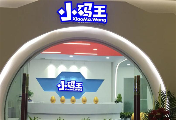 小码王少儿编程加盟费