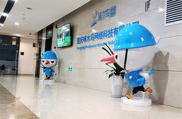 啄木鸟家电维修加盟费