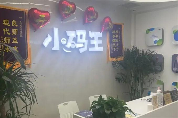 小码王少儿编程加盟费