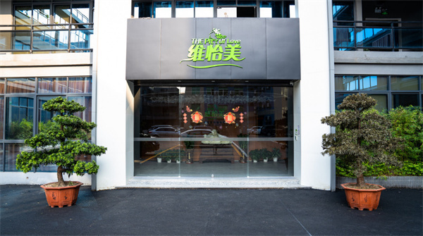 维怡美祛斑加盟费