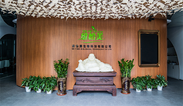 维怡美加盟费