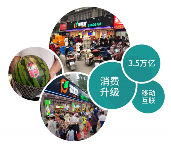 攀果地仓储式会员店加盟费