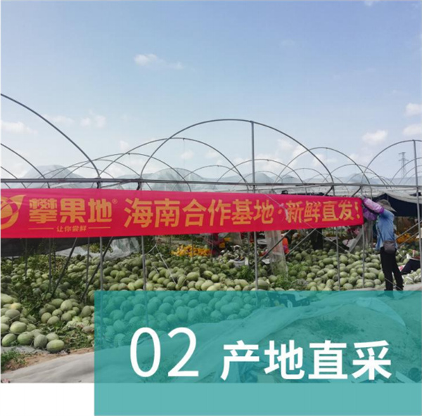 攀果地仓储式会员店加盟费