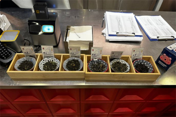 茶南子青年茶馆加盟费