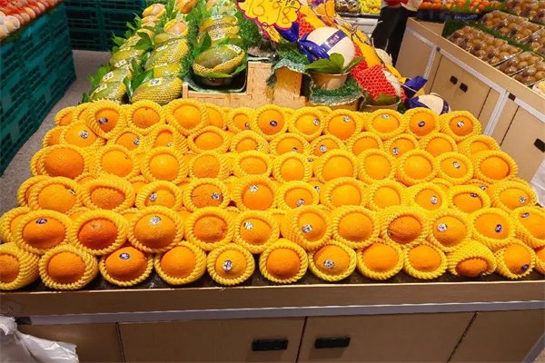 每日臣鲜果加盟费