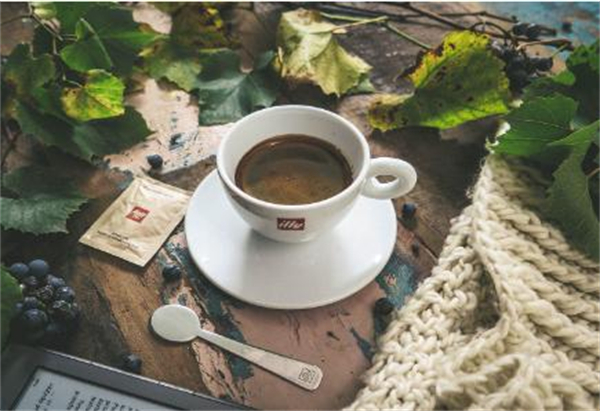 枫蓝咖啡加盟费