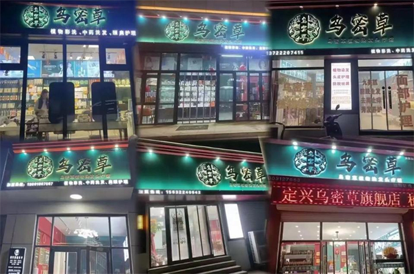 乌密草植物染发加盟费