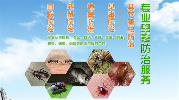 除虫灭鼠加盟费