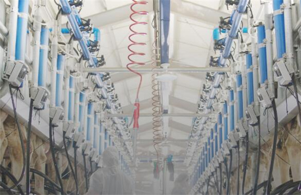 益益鲜奶吧加盟费