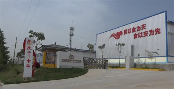 陕二丫擀面皮加盟费